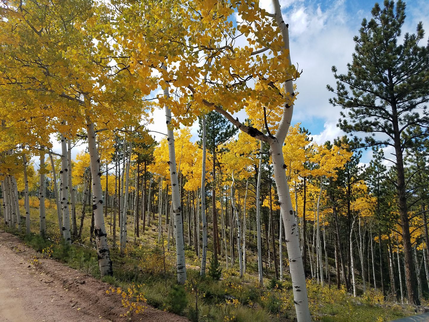 Rampart Range near Hotel Gulch